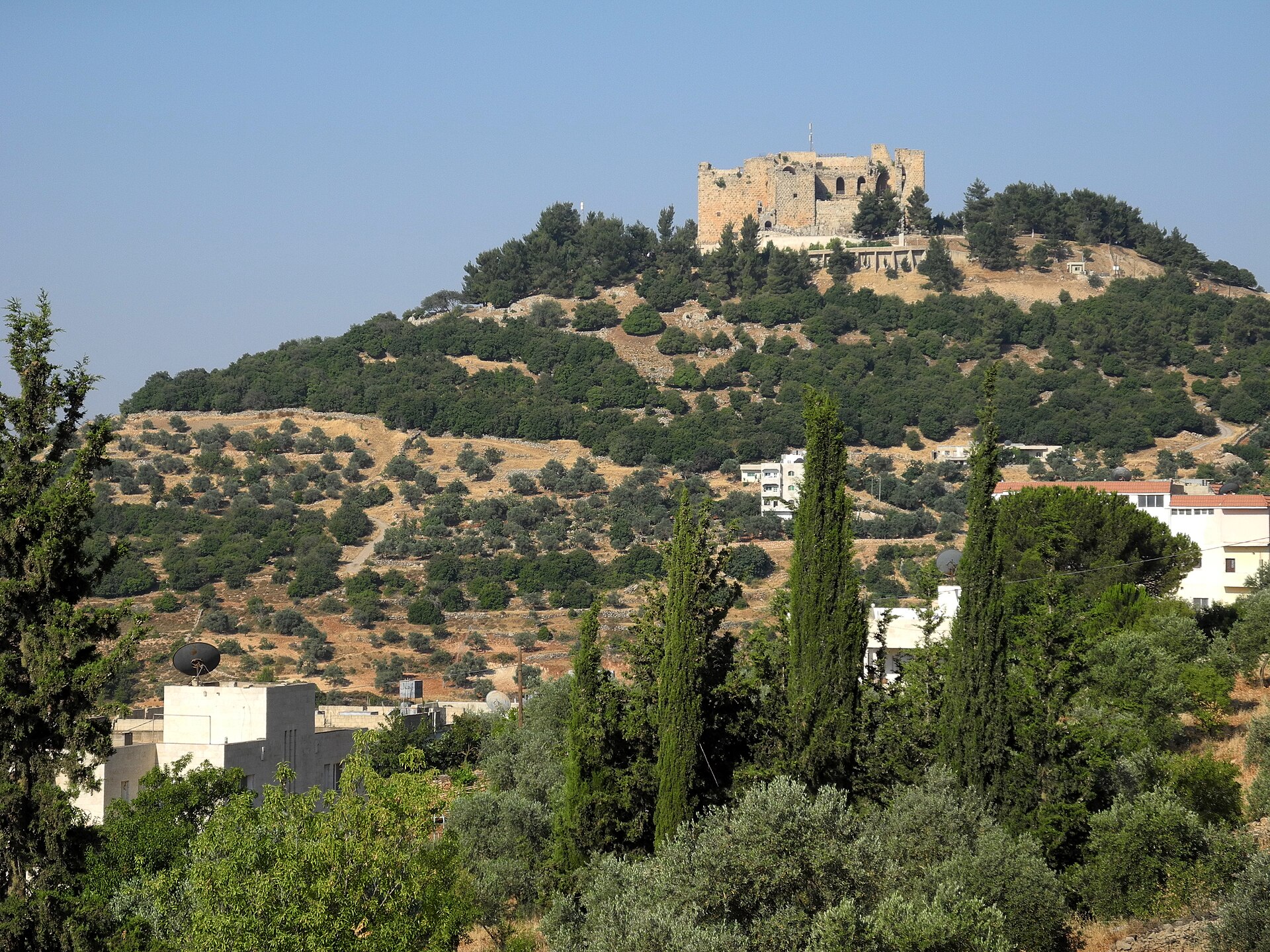 Ajloun via Jerash and Amman Day Tour from Amman